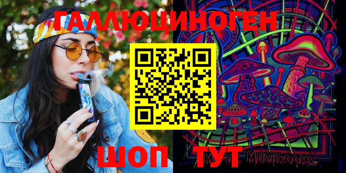 Медногорск  Галлюциногенные грибы Psilocybine cubensis  Вход с VPN 